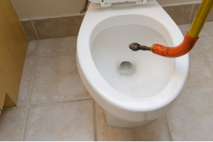 Toilet Repair